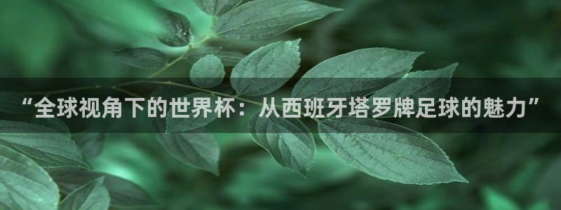 法国杯2026赛程表：“全球视角下的世界杯：从西班牙塔罗牌足球的魅力”