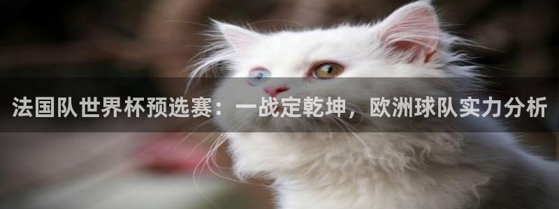 女足世界杯直播在线观看免费高清：法国队世界杯预选赛：一战定乾坤，欧洲球队实力分析