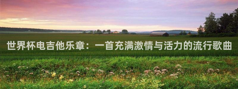 2026世界杯德国队阵容：世界杯电吉他乐章：一首充满激情与活力的流行歌曲