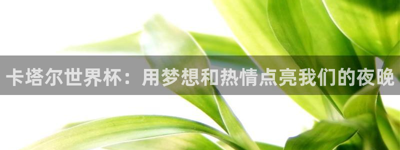 世界杯小组赛赛程：卡塔尔世界杯：用梦想和热情点亮我们的夜晚