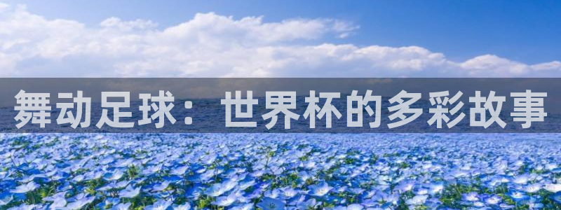 2026世界杯日期：舞动足球：世界杯的多彩故事