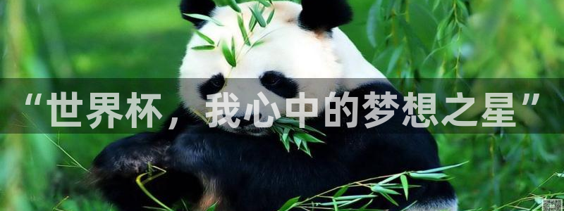 世界杯直播平台：“世界杯，我心中的梦想之星”