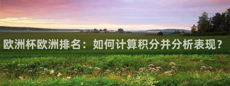 2026足球世界杯赛程：欧洲杯欧洲排名：如何计算积分并分析表现？