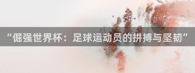 国际足联世界杯：“倔强世界杯：足球运动员的拼搏与坚韧”