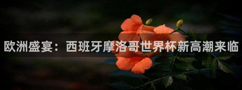 世预赛赛程表：欧洲盛宴：西班牙摩洛哥世界杯新高潮来临