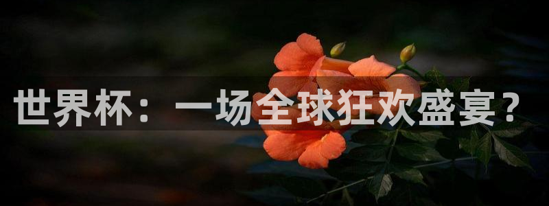 世界杯预选赛赛程：世界杯：一场全球狂欢盛宴？