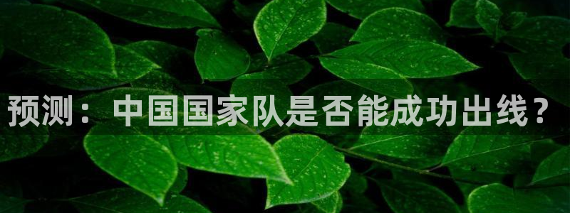 2026年世界杯赛程时间表格：预测：中国国家队是否能成功出线？