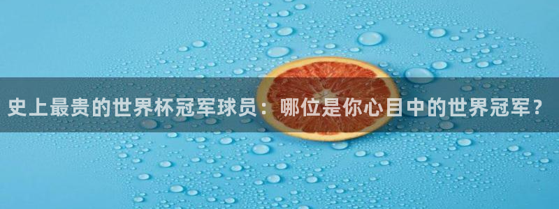 2006年世界杯冠军：史上最贵的世界杯冠军球员：哪位是你心目中的世界冠军？