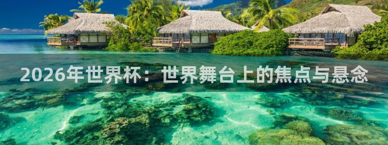 2026世界杯倒计时：2026年世界杯：世界舞台上的焦点与悬念