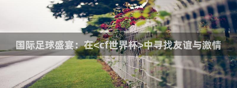 2026世界杯直播免费观看：国际足球盛宴：在<cf世界杯>中寻找友谊与激情