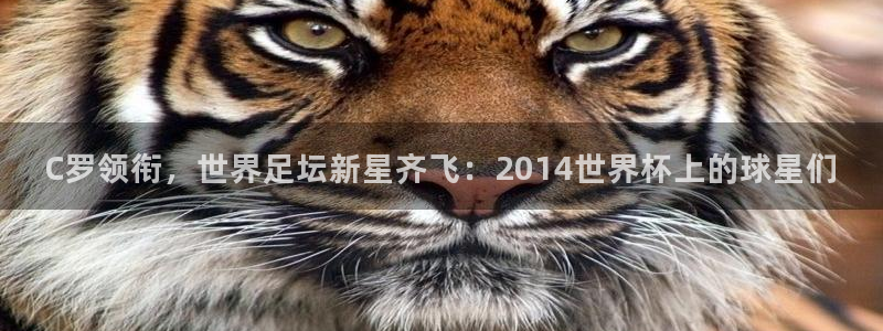 世界杯时间:C罗领衔,世界足坛新星齐飞:2014世界杯上的球星们