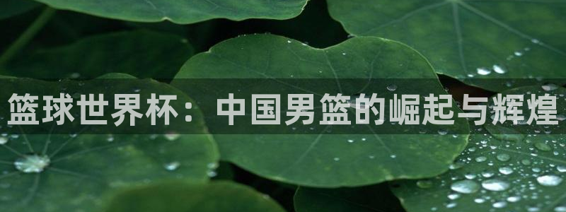 世界杯官网：篮球世界杯：中国男篮的崛起与辉煌