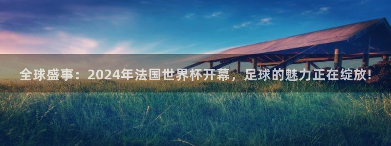 2026世界杯：全球盛事：2024年法国世界杯开幕，足球的魅力正在绽放!