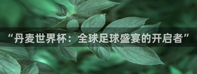 女足世界杯直播：“丹麦世界杯：全球足球盛宴的开启者”